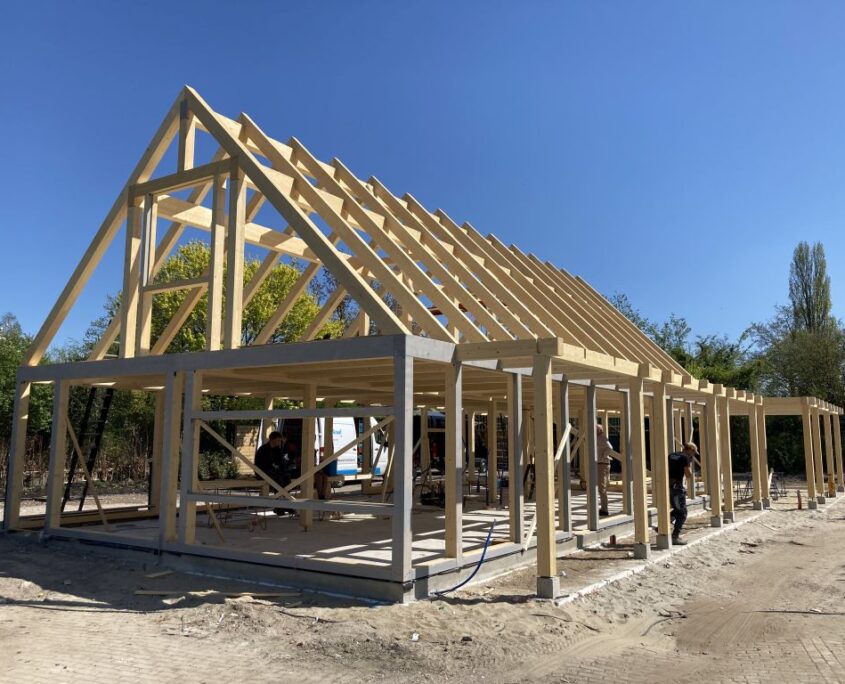 Lemn pentru constructii Lemn pentru constructii