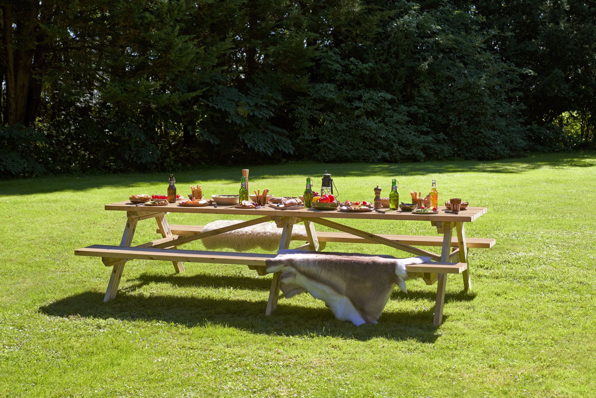 Masa de picnic